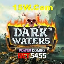 Platform Technology Bet5455